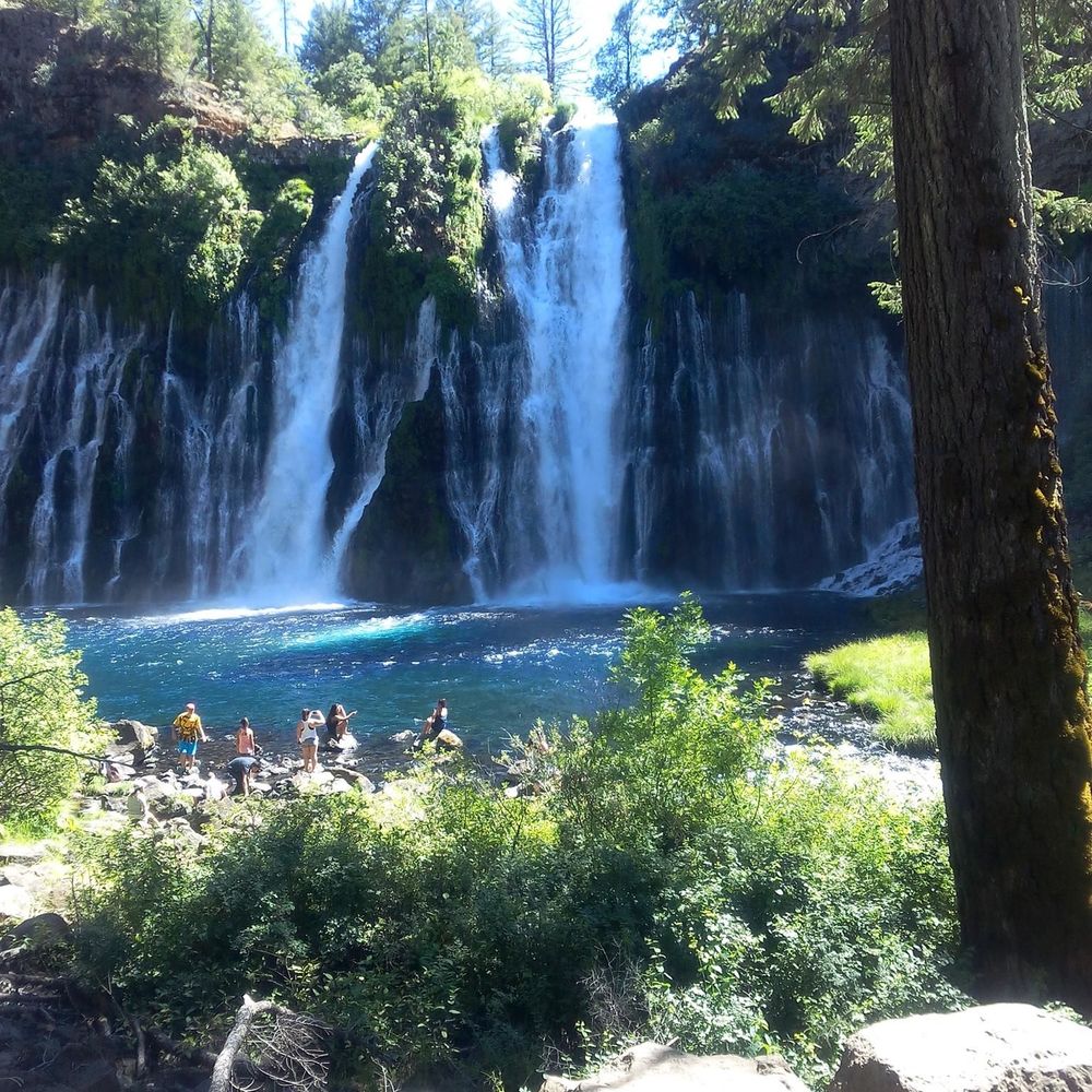 Meet your Posher, Ann